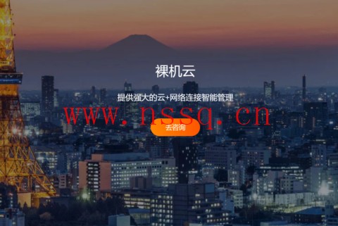 #11.11#RAKsmart:VPS秒杀$0.99/月起,云服务器秒杀$1.99/月起,独立服务器秒杀$30/月起-南山主机测评