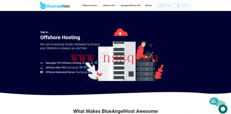 blueangelhost:保加利亚专业离岸主机,无视版权投诉,免费100G DDOS防护,KVM VPS $8.99起-南山主机测评