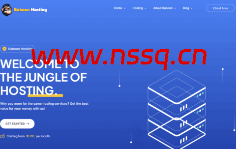 BaboonHosting:荷兰VPS,€12.99/年起,荷兰IPv6 vps年付5欧元起-南山主机测评