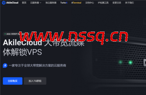 Akilecloud：洛杉矶国际线路vps，1核/1GB内存/5GB SSD/1TB流量/5Gbps端口，8.88元/月-南山主机测评