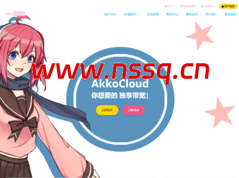 AkkoCloud：德国 VPS｜CN2 GIA 优质线路，季付低至 99 元，500M 带宽可选不限流量-南山主机测评