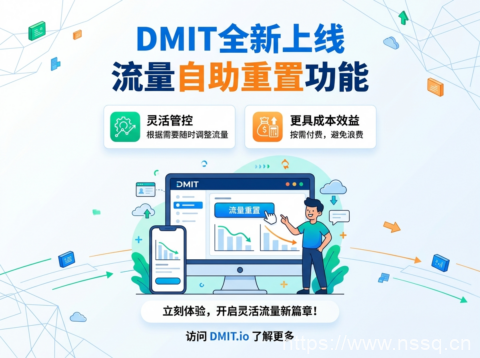 DMIT全新上线流量自助重置功能，灵活管控更具成本效益-南山主机测评