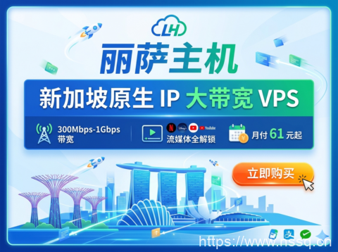 丽萨主机:新加坡原生 IP 大带宽 VPS 300Mbps-1Gbps 带宽 流媒体全解锁月付 61 元起-南山主机测评