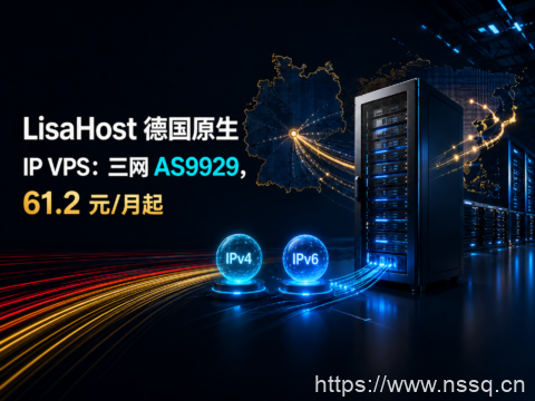 LisaHost 德国原生 IP VPS:三网 AS9929,61.2 元/月起-南山主机测评