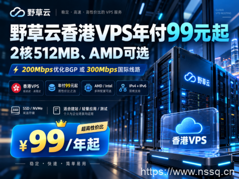 野草云香港VPS年付99元起：2核512MB、AMD可选，200Mbps优化BGP或300Mbps国际线路-南山主机测评